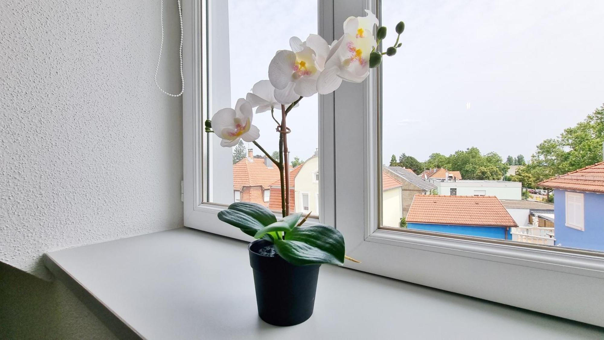 Le Triplex - 5 Chambres - 10 Pers- Fibre - Relax Bnb Mulhouse Exterior foto
